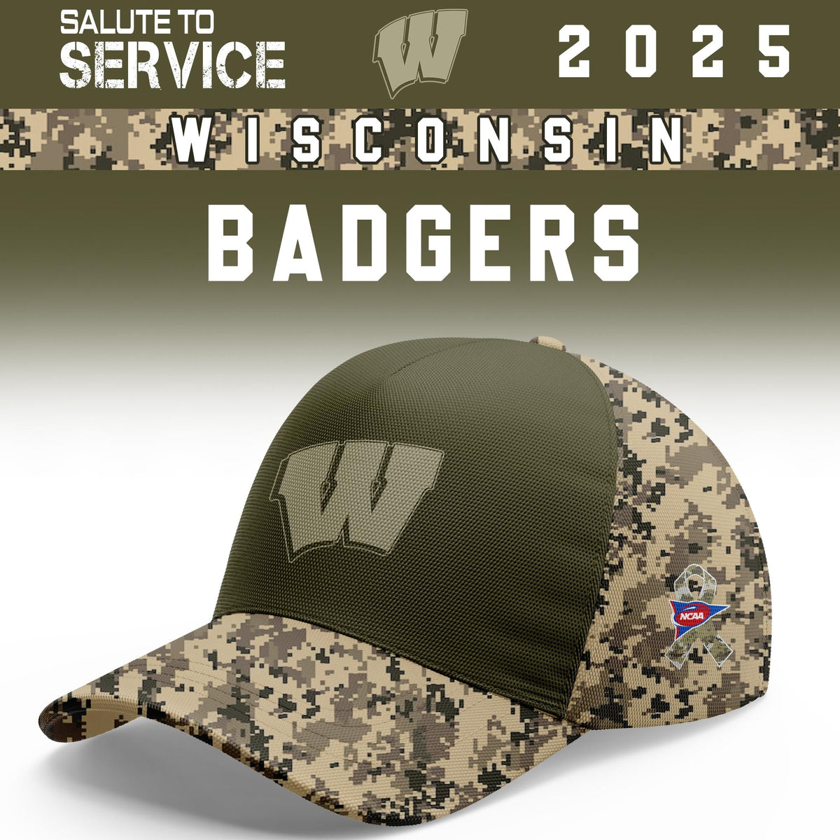 Wisconsin Badgers Salute To Service Limited Hoodie and Cap 2025 Collection