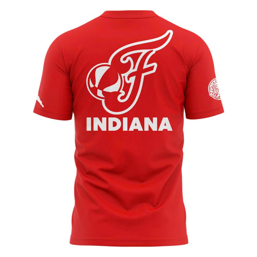 Now You Know Indiana Fever T-Shirt WNBA Playoff 2025 Red