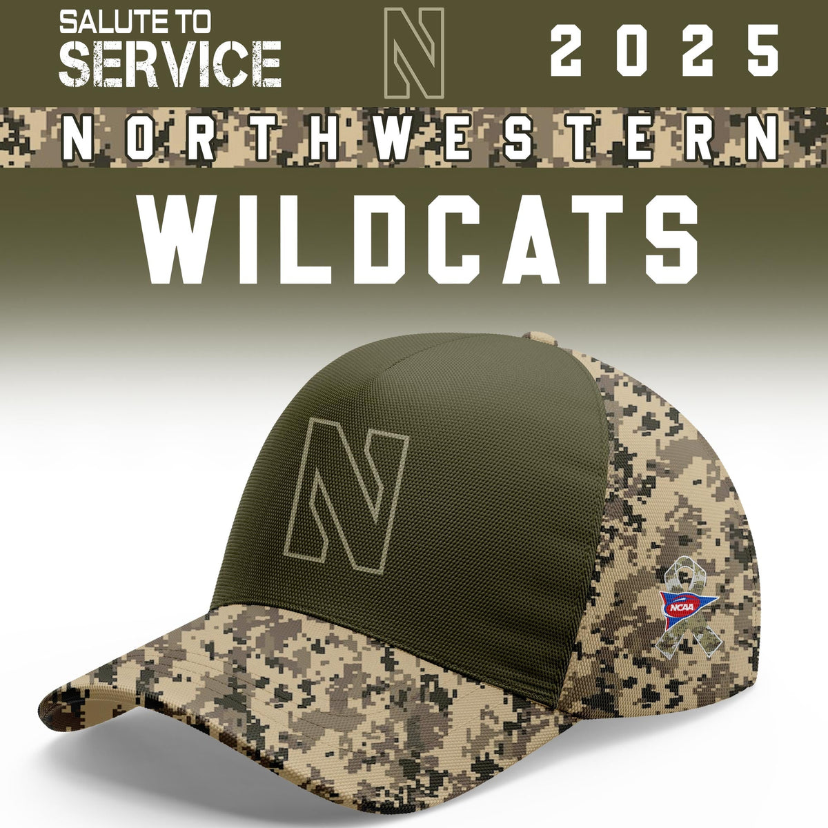 Northwestern Wildcats Salute To Service Limited Hoodie and Cap 2025 Collection