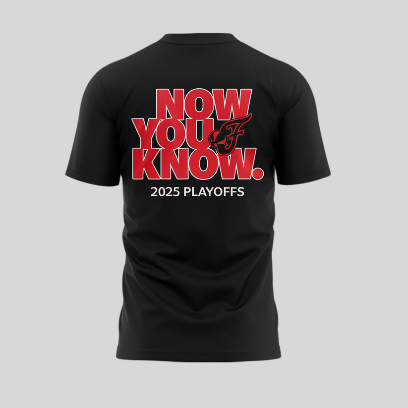 Now You Know Indiana Fever T-Shirt WNBA Playoff 2025